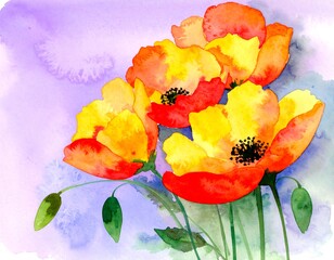 Watercolor poppy blossoms in vibrant colors