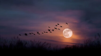 Silhouetted birds migrate across a vibrant purple and orange twilight sky with a bright full moon casting a warm glow