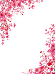 Pink cherry blossom frame on black background (2)