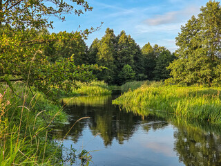 Fototapeta premium Natural landscapes in central Poland.