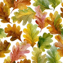 Autumn oak leaves, colorful and textured