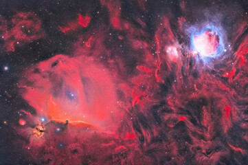 Horsehead Nebula and Orion Nebula © Myki