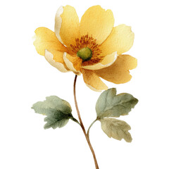 Close-up of a single, vibrant yellow flower with delicate green leaves