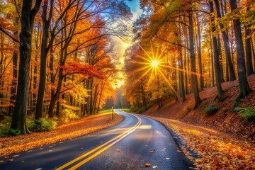 Sunlight streams through vibrant autumn trees lining a winding road covered in fallen leaves
