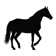Obraz premium Vector art of black horse silhouette walking with its head held high