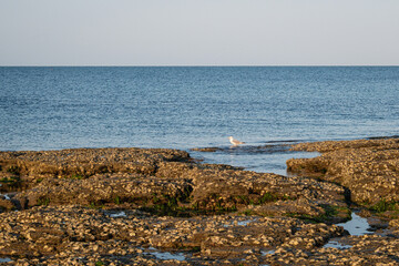 Des rochers sur le littoral en Bretagne.