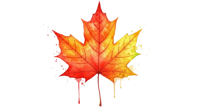Vibrant watercolor maple leaf with dripping paint effect isolated on transparent background