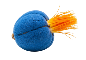 Vibrant blue sphere with a striking orange tassel, displaying a unique textured surface against a black background.