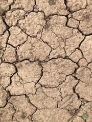 Cracks in soil due to severe drought conditions, North Yorkshire, England, United Kingdom
