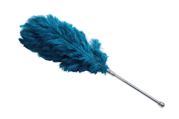 Teal feather duster against black background