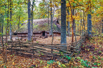 Fototapeta premium Fence of branches around a longhouse in a tree grove in autumn