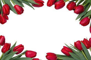 Red tulips form a frame around a black background