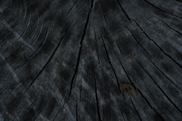dark grey wood flooring abstract as background, old gray wood texture close up as a background