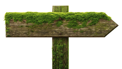 Mossy wooden sign isolated on transparent background