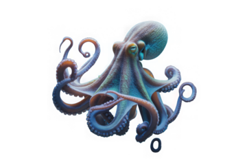  Exploring ocean life octopus in coral reef isolated on transparent background