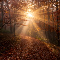 Obraz premium Golden sun rays stream through vibrant autumn trees onto a path covered in leaves
