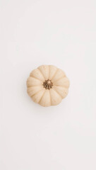 Obraz premium Top view of a white pumpkin