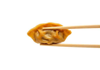 Single fried dumpling held by chopsticks on transparent background