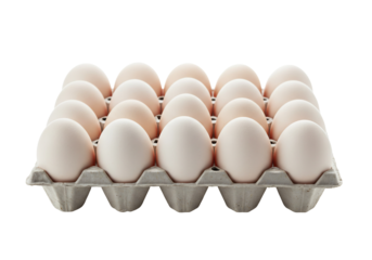 Eighteen eggs in carton studio shot transparent background