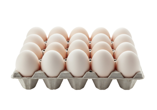 Eighteen eggs in carton studio shot transparent background - Powered by Adobe