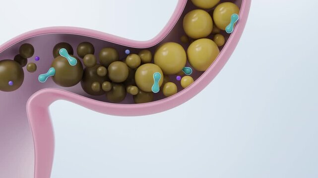 Probiotics providing constipation relief, cleaning the colon for gut health animation