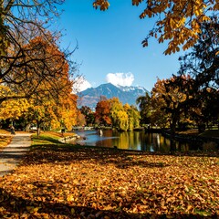 Obraz premium Autumn park landscape with fall foliage