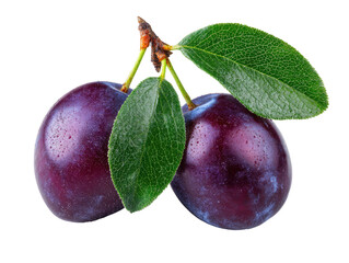 Two plump, dark purple plums with fresh green leaves on a stem