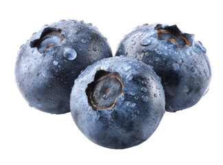 Close-up of three fresh blueberries, covered in water droplets