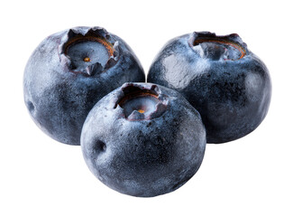 Close-up of three blueberries,  deep indigo,  juicy