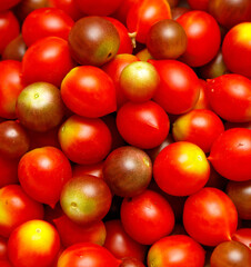 Bunch of red tomatoes with a yellow spot on them