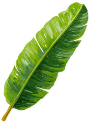 Vibrant green banana leaf, detailed veins