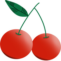 Fresh Cherry Fruit Illustration Realistic Style