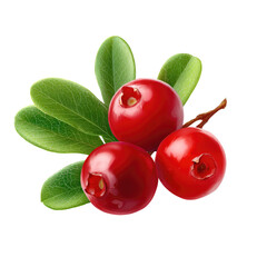 Close-up of three vibrant red cranberries on a stem with green leaves