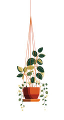 Hanging terracotta pot with plants.  Orange macrame