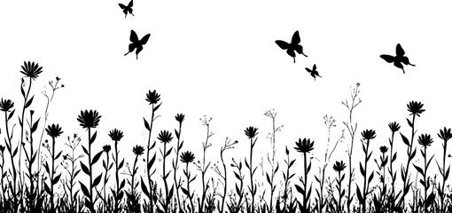 Elegant Black and White Butterflies in a Minimal Meadow