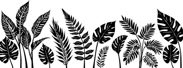 Tropical Botanical Leaves Silhouette Border Illustration