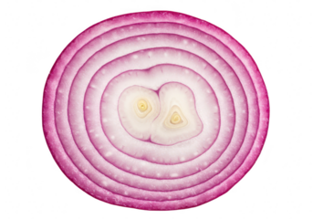 Slice of red onion isolated on transparent background