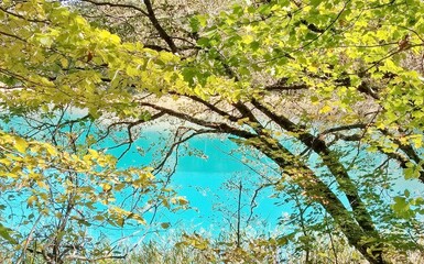 Goshikinuma, with its lakes of various colors, is a popular travel destination for autumn foliage viewing in Fukushima, Japan.
