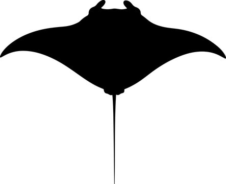 Manta ray silhouette vector flat illustration design.