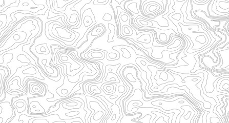 Modern design with White background with topographic wavy pattern design, paper texture Imitation of a geographical map.