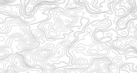 Topographic contour map. similarcartography illustration.  Topography and geography map grid abstract backdrop. Business concept. Fish Fillet Texture.