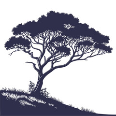 hebe red hugh tree on white background 