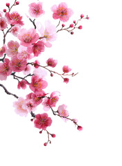 Naklejka premium Pink cherry blossom branch, detailed