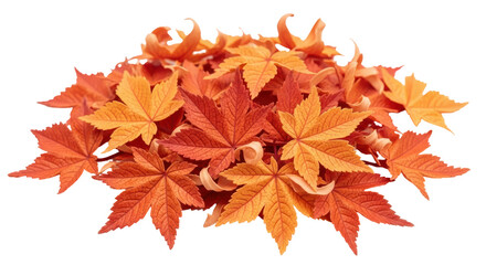 Isolated Autumn Leaves Pile