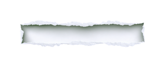 Ripped paper strip (1)