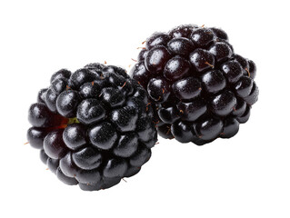 Two blackberries, close-up, isolated on black