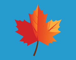 Isolated Maple Leaf Illustration with Autumn Colors on a Blue Background