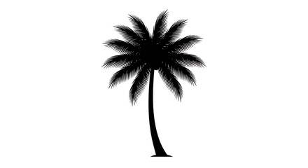 Palm Tree Silhouette Tropical Design