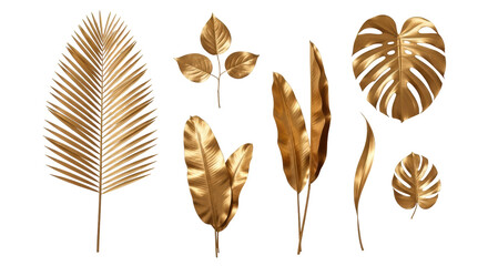 Isolated Golden Tropical Leaves