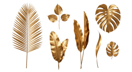 Isolated Golden Tropical Leaves